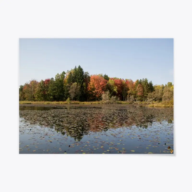 Reinstein Woods Pond in the Fall