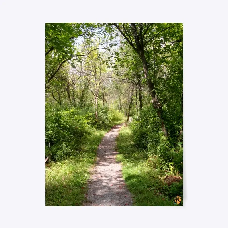 Path at Stiglmeier Park