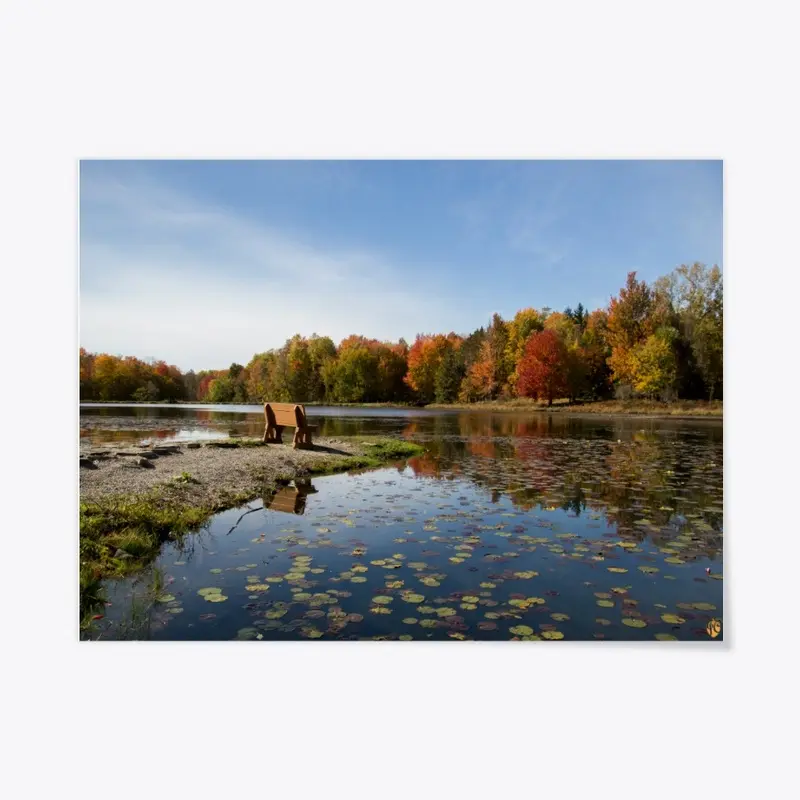 Reinstein Woods in the Fall