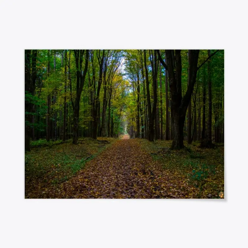 Fall Path in Letchworth State Park